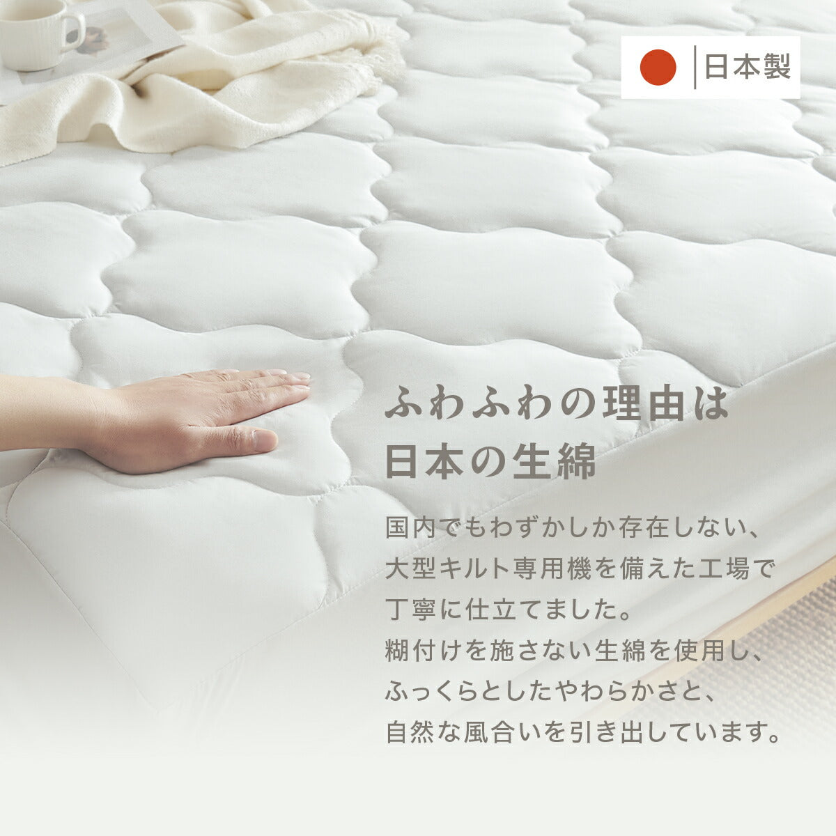 【数量限定枕カバープレゼント！】 【一部予約】 日本製 ボックスシーツ 綿100% シングル セミダブル ダブル クイーン ワイドキング 100×200×30 120×200×30 140×200×30 160×200×30 200×200×30 ホワイト ベージュ グレー [M便1/1] 21545 ボックスシーツならCOYOLI