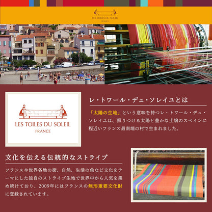 トイレマット レ・トワール・デュ・ソレイユ 拭ける 55×60cm おしゃれ PVCトイレマット お手入れ簡単 塩ビ素材 抗菌 防臭 防カビ 滑りにくい おすすめ ストライプ マルチボーダー 55 60 防水 y19577
