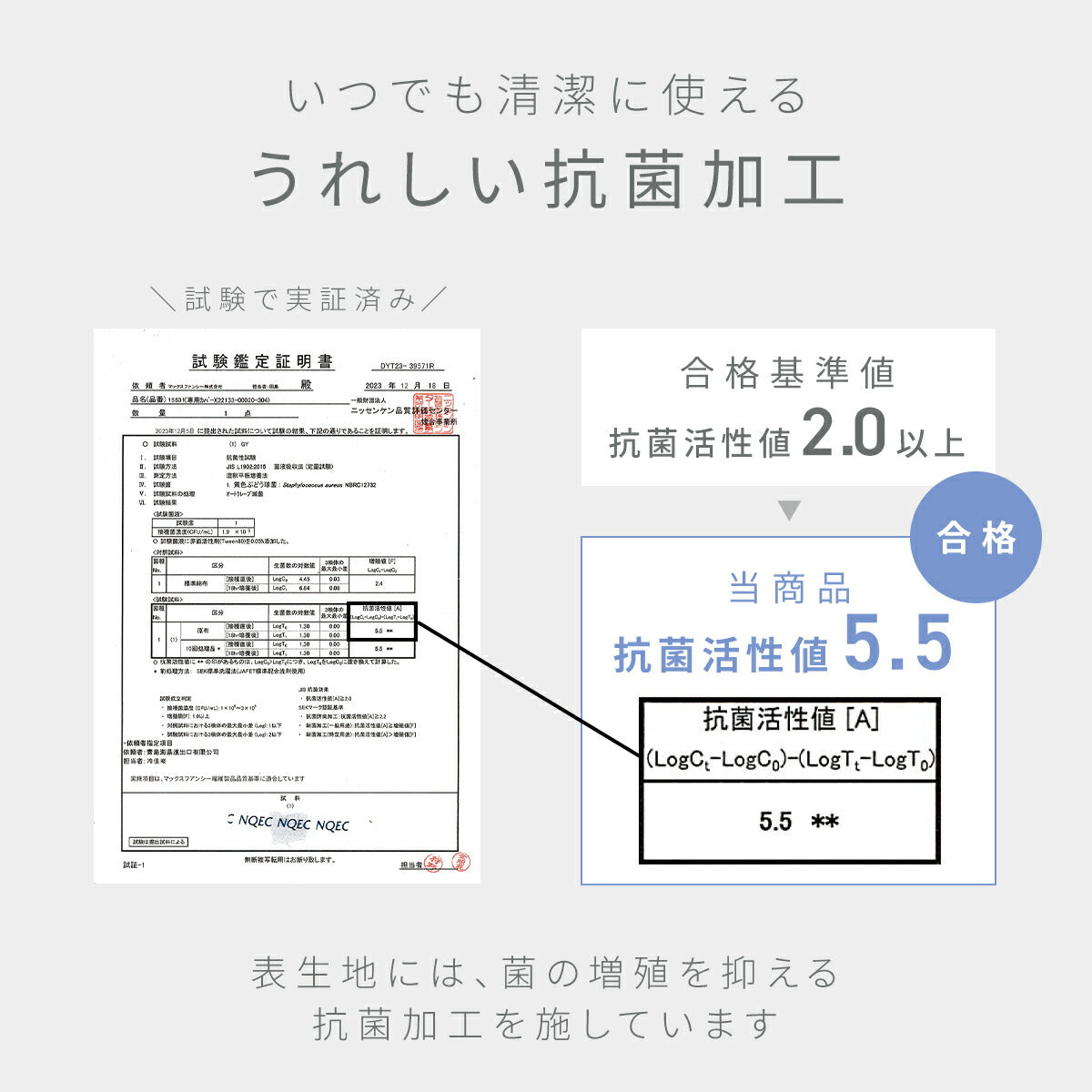 【メッシュ新登場】 ベッドパッド シングル セミダブル ダブル クイーン ワイドキング 100x200 120x200 140x200 160x200 200x200 厚手 洗える 抗菌 ウォッシャブル オールシーズン 蒸れない ホワイト 18545-0010 敷きパッドならCOYOLI