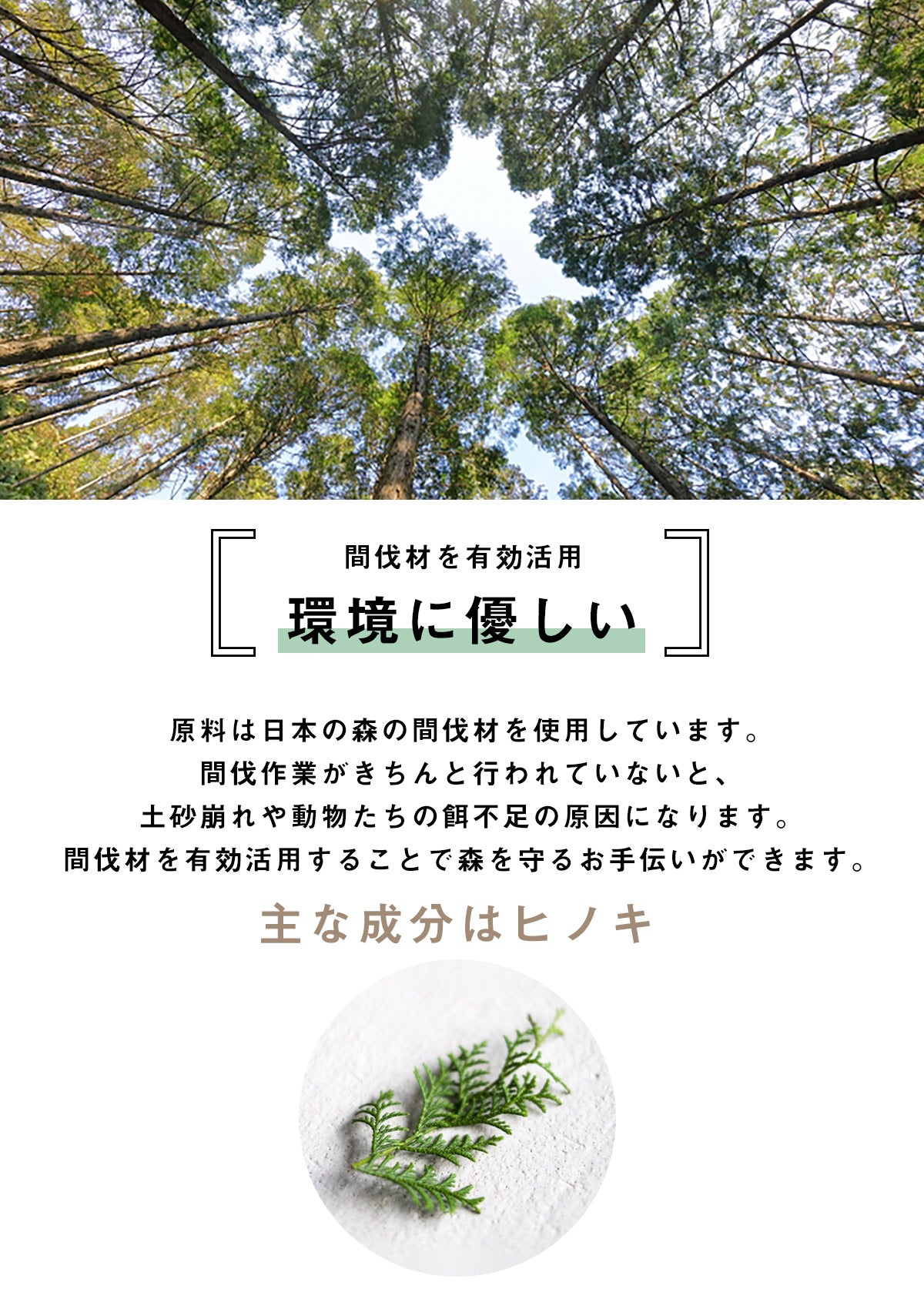 ふわり森のかほり 消臭スプレー 15ml 全種の香りセット 消臭  天然成分 ヒノキ おしゃれ トイレ 靴 木材 ペット キッチン 玄関 ひのき 化学成分不使用 車 [M便 1/30] 5pC45181