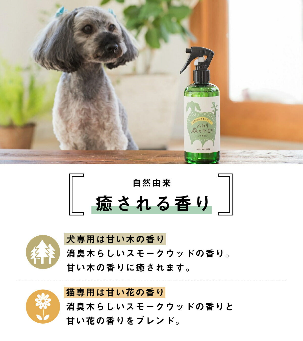 ペット用 ふわり森のかほり 消臭スプレー 300ml 選べる2種セット 消臭 犬用 猫用 天然成分 ヒノキ おしゃれ トイレ ゲージ ベッド ペット  消臭木 ひのき 芳香剤 化学成分不使用 車 無添加 2pC45681